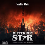 Shatta Wale Different Star artcover