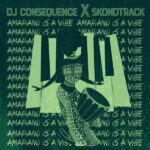 DJ Consequence Amapiano Is A Vibe 2