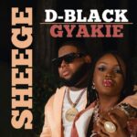 D Black Sheege Artwork