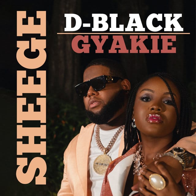 D Black Sheege Artwork