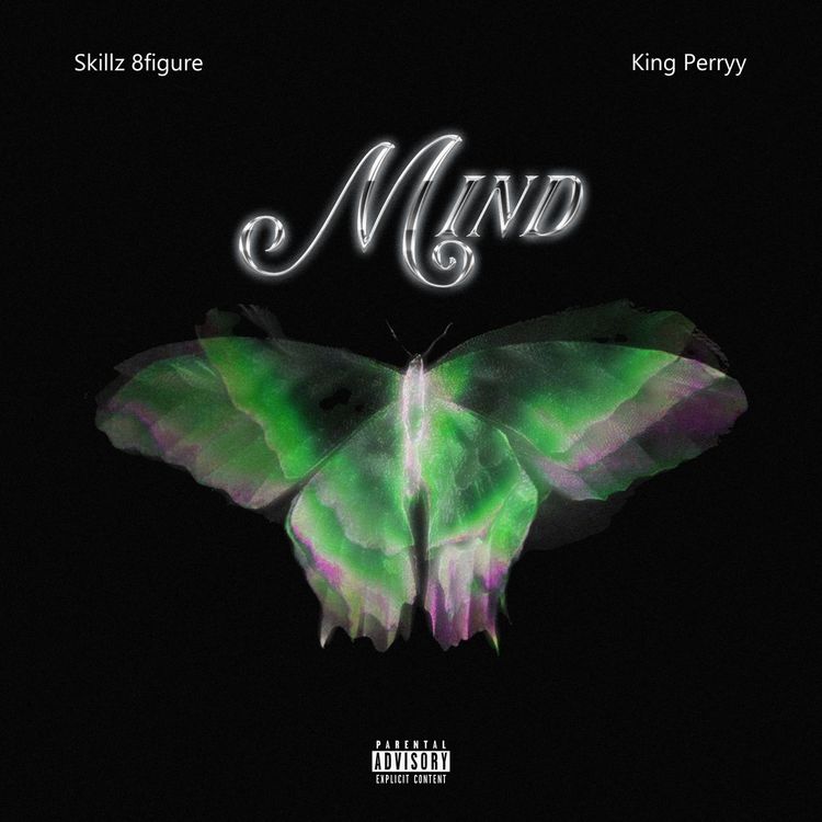skillz 8figure king perryy mind