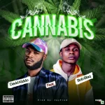 Cannabis by David Kiddo Ft. Bob Blaq trendyhiphop.com