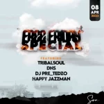 DnS & Tribal Soul ft Lee, Nathi & Seemore – Chief DnS Tribal Soul ft Lee Nathi Seemore Chief Hip Hop More