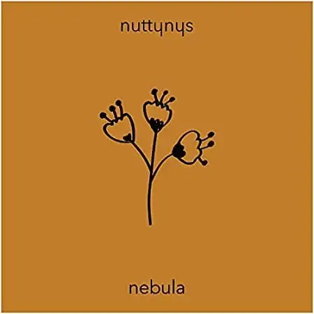 Nutty Nys – Nebula mp3 download zamusic Hip Hop More