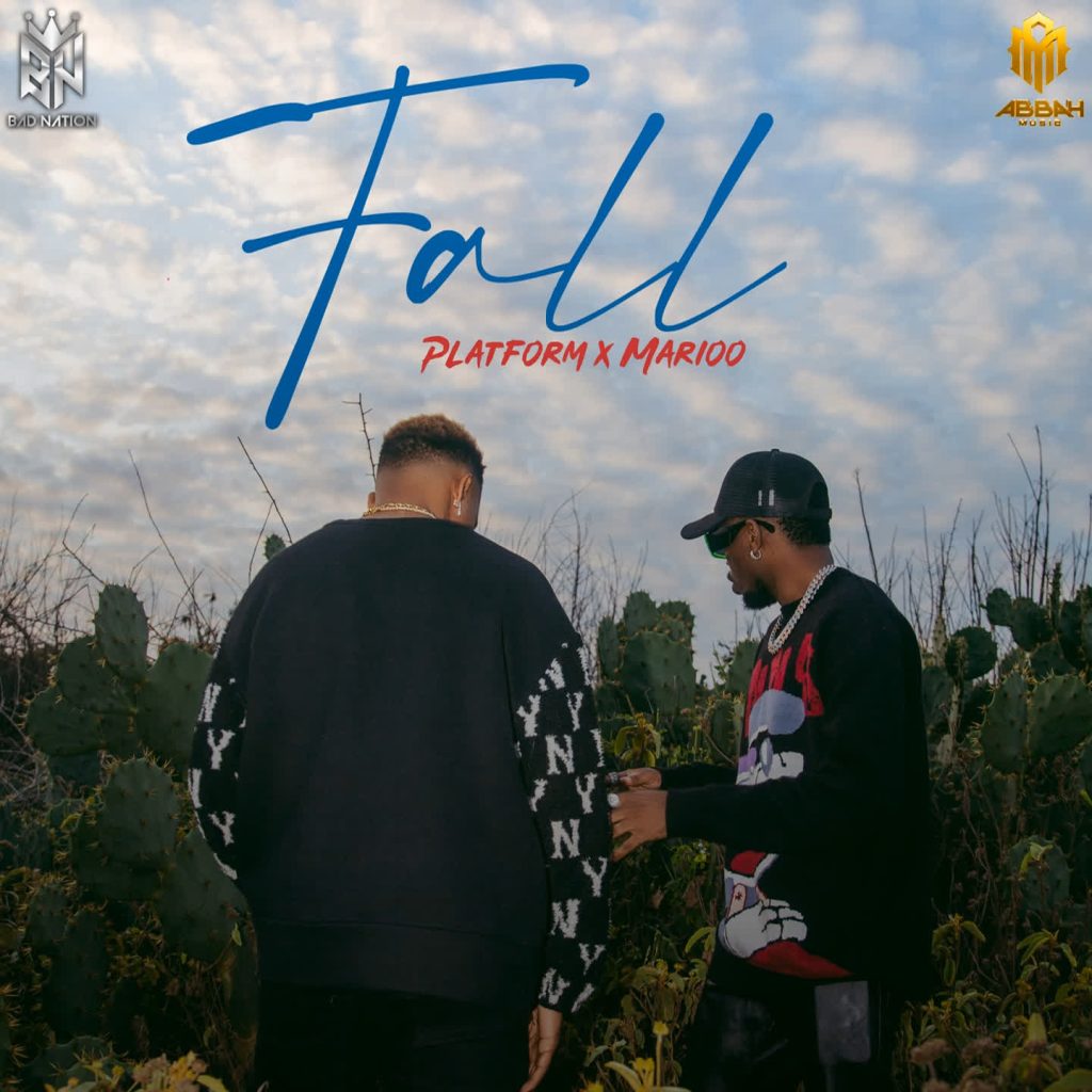 Platform Tz ft Marioo – Fall