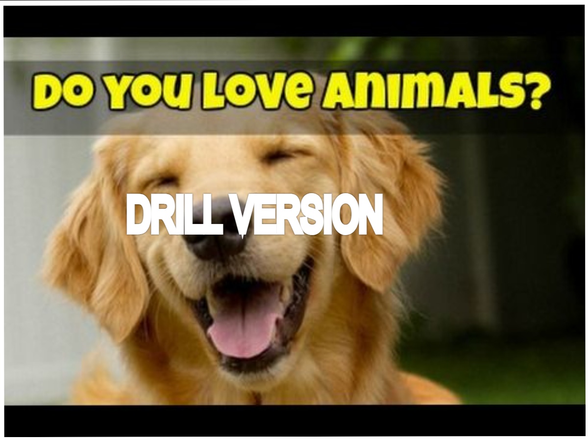 Tiktok Sound Do You Love Animals Drill Versiona