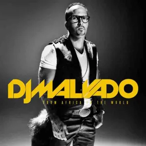 dj malvado zenze