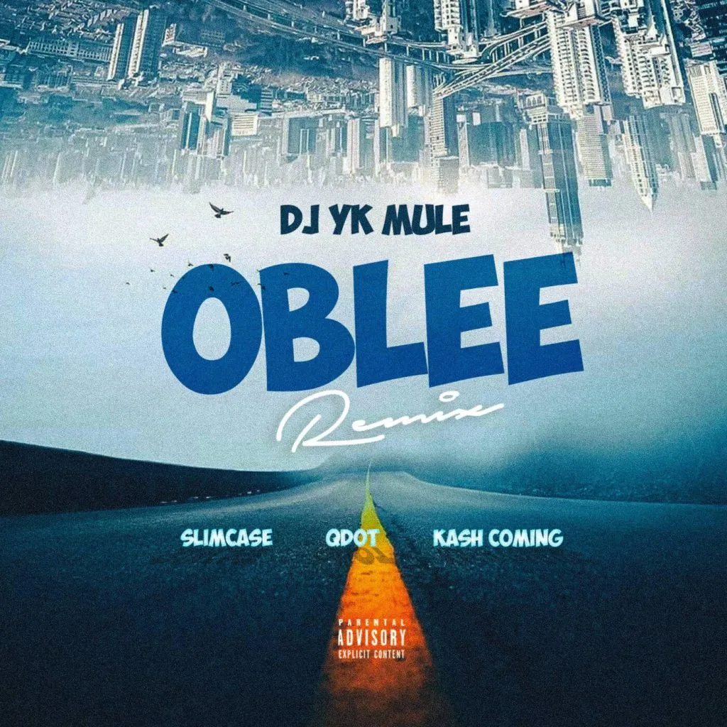 oblee (remix) feat. qdot by dj yk mule slimcase