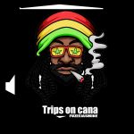 Fuzeejasmine – Trips On Cana