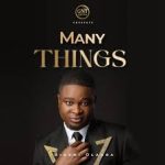 Bidemi Olaoba – Many Things