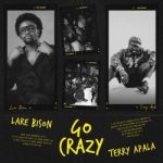 Lare Bison – Go Crazy Ft. Terry Apala