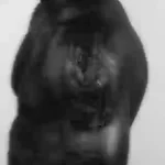 Ruger – Muhammad Ali (Can’t Relate)