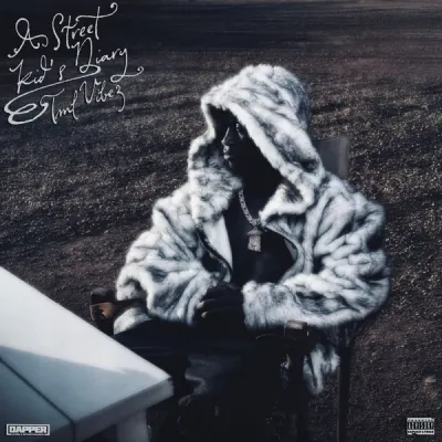 Tml Vibez – Olo MiTml Vibez - A Street Kid's Diary (ALBUM)