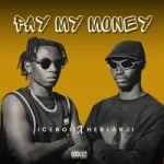Iceboii – PAY MY MONEY Ft. Herlarji