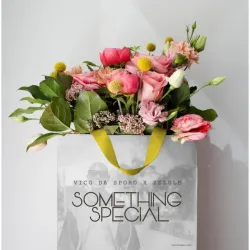 Vico Da Sporo – Something Special ft Zelule zn