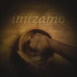 Warren Justin – Imizamo Ft. Tonic Blue, Kelvin Momo, Mr Maker, Shane907 & Noklunga Vilakazi