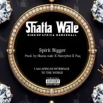 Shatta Wale – Forgive You
