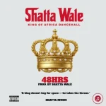 Shatta Wale – Big Lie Dat
