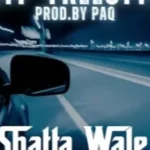 Shatta Wale – No No No