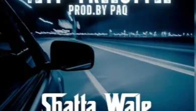 Shatta Wale – No No No