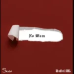 Skiibii – No Wam Ft BhadBoi OML