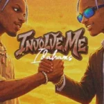 Idahams – Involve Me